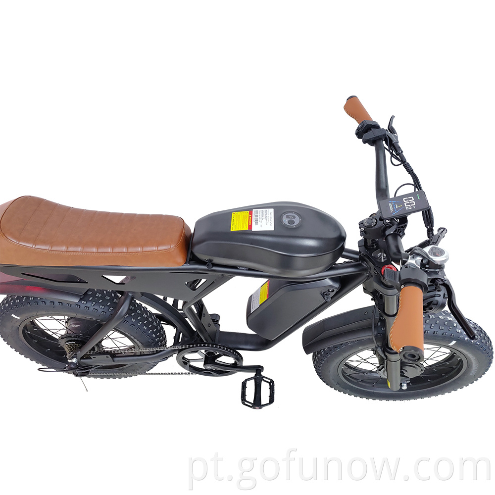 Bicicleta elétrica pneu gordo de 20 polegadas fora da estrada Ebike 1000W 48V 20AH Bicicleta elétrica montanhosa para adultos Ciclismo e bicicleta